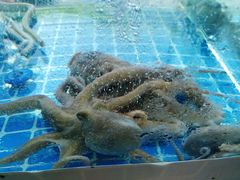 -富临港·蒸汽海鲜·手抓海鲜·炒菜(栈桥店)