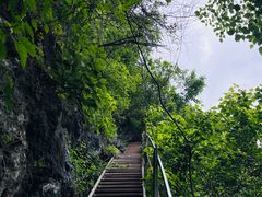 -大面山