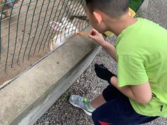 -前小桔亲子创意农场·草莓采摘·露营烧烤