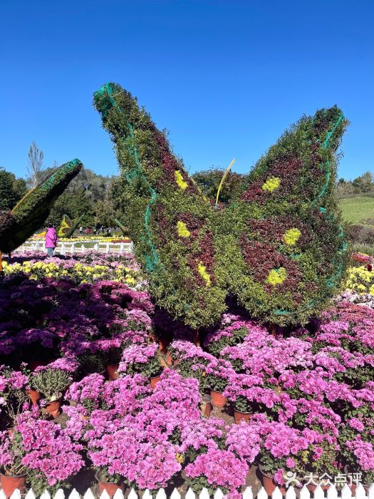 沈阳植物园图片
