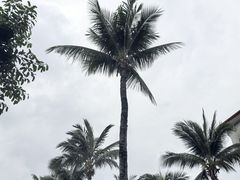 -三亚蜈支洲岛旅游区