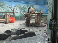 -秦皇岛野生动物园