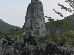 -千岛湖石林