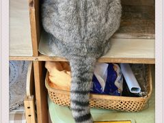 -小时光咖啡馆(开森度假森林店)