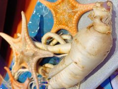 鲜人参火锅-千岛蚝高压锅生蚝·人参火锅(白云万达店)