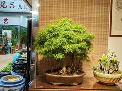 -双季花艺园艺市场(浦东店)