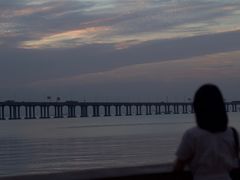 -宝安西湾红树林湿地公园