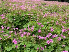 -杭州城北体育公园