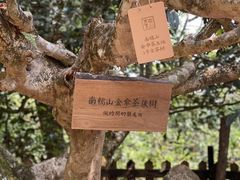 -汉艺唐风茶艺培训(联发华美空间店)