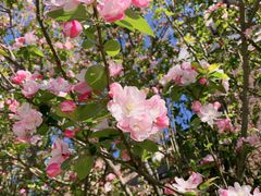 -天津津利华酒店