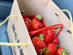 -甜心庄园·甜心草莓采摘园(西青中北店)