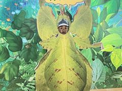 -上海昆虫博物馆