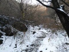 iphone_upload_pic-阳台山自然风景区