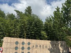 -上海市实验学校
