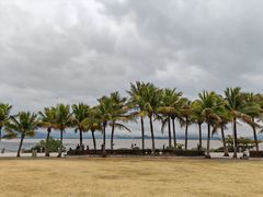 -深圳湾公园(南山区)