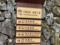 -杨家堂村