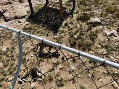 -西霞口神雕山野生动物世界