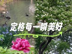 -天津水上公园