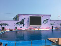 -北戴河圣蓝海洋公园