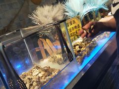 -鑫海汇海鲜烤肉自助(北国商城店)
