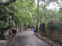 -纯真年代书吧(宝石山店)