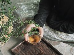 -扫雪煮茶(西村店)