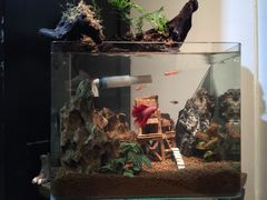 -Together·泰式按摩精油SPA(天山店)