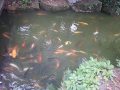 -珠海圆明新园