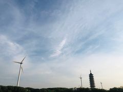 -奉贤海滩