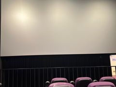 -中影嘉华国际影城(大芬星都里店)