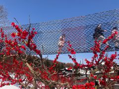 -威海华夏城景区