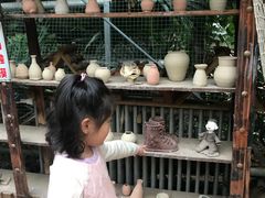 -呀路古热带植物园