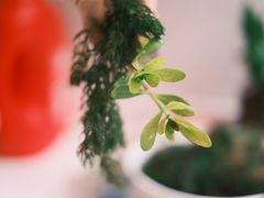 -星光摄影器材城