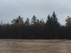 -五营红松林海景区