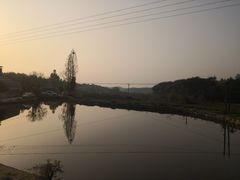 -素山寺森林公园