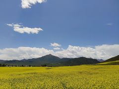 -扁都口生态休闲旅游区