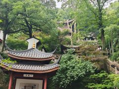 -新白鹿餐厅(龙游路总店·杭帮菜名店)