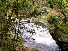 -石台牯牛降景区