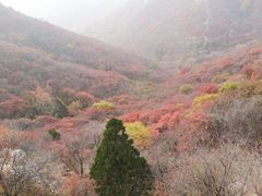 -石门坊
