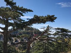 -华山风景名胜区