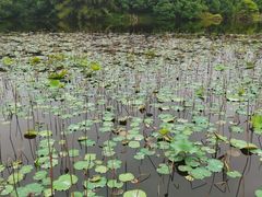 -福建鲤鱼洲酒店