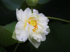 -黄兴公园