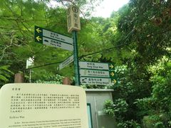 -南丫岛