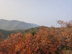 -香山公园