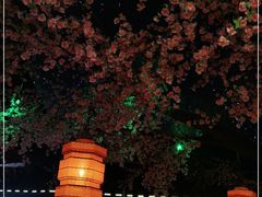 -荷塘秋月·本帮江浙菜(国权路店)