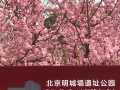 -北京明城墙遗址公园
