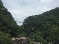 -牛背梁国家森林公园