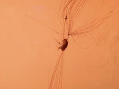 -沈阳海洋探索中心