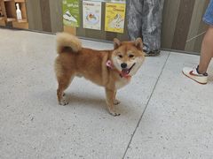 -omitofee咖啡(水泽店)