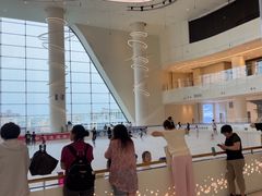 -世纪星滑冰俱乐部(万象城店)